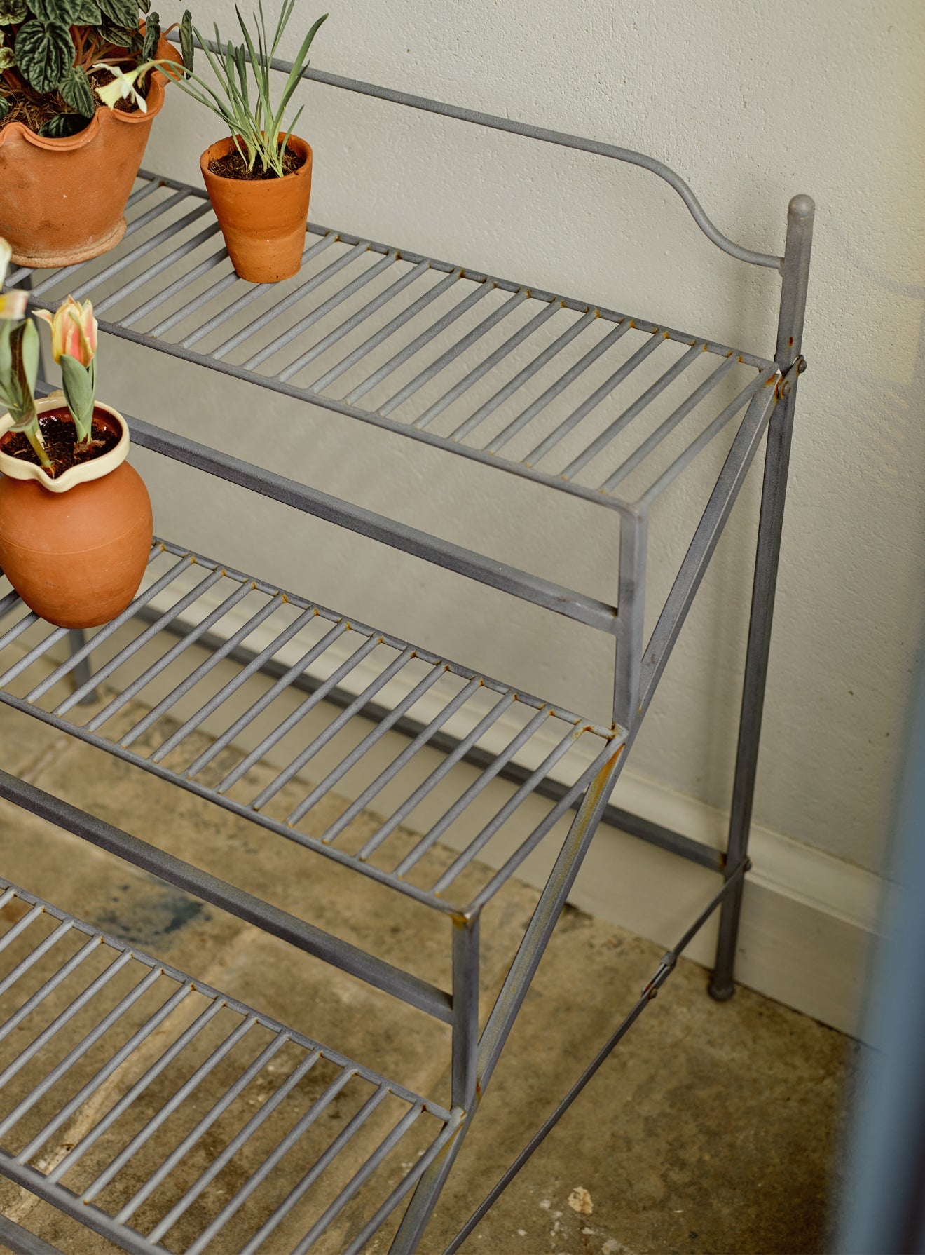 Stand pentru plante Burnell