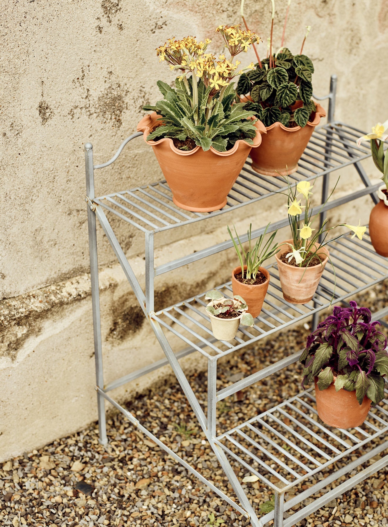 Stand pentru plante Burnell