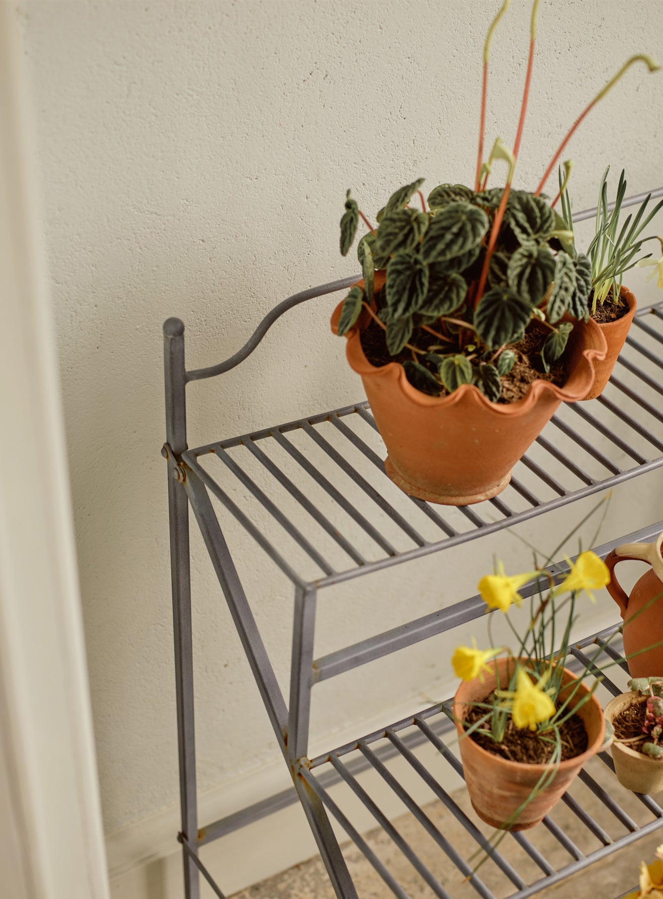 Stand pentru plante Burnell