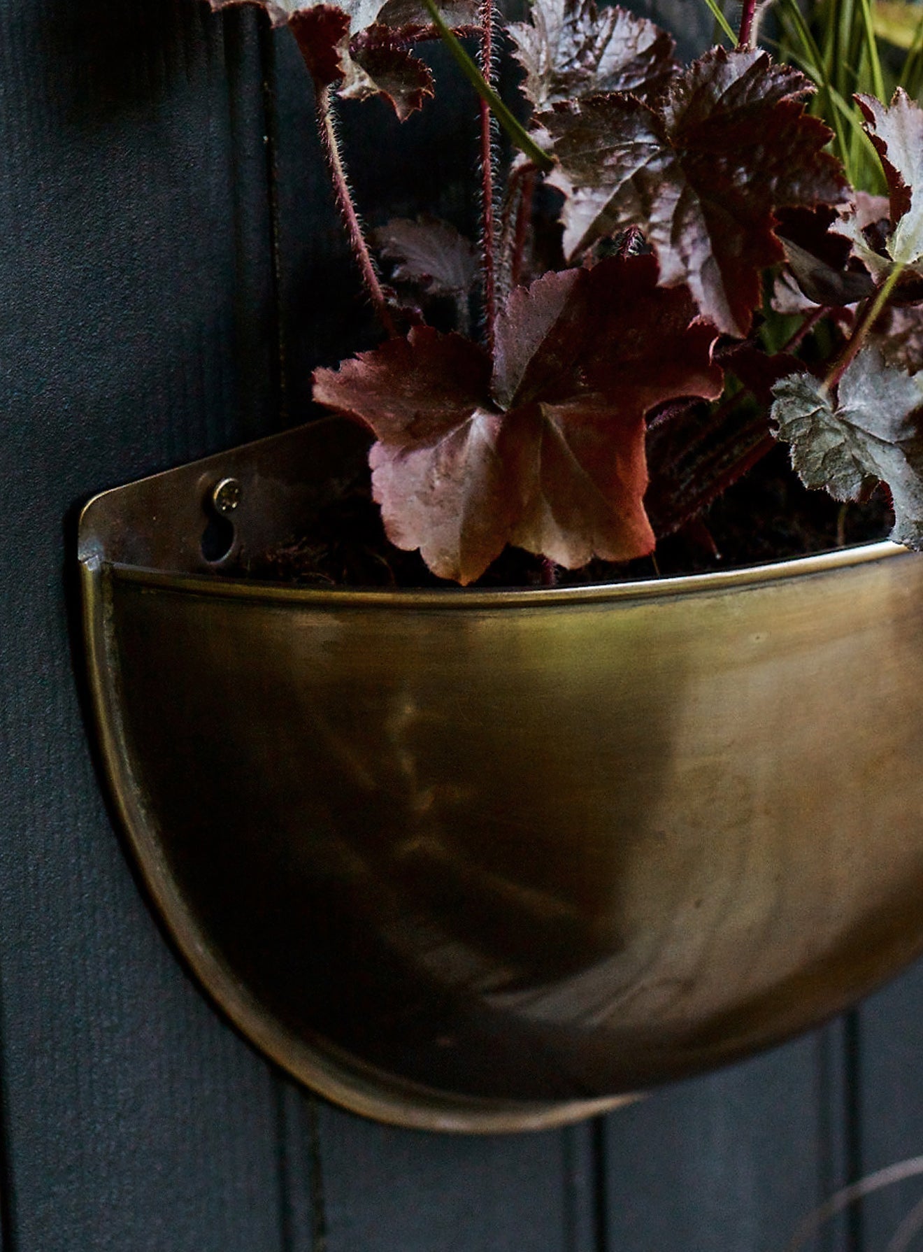 Jardiniera de perete Sola Brass